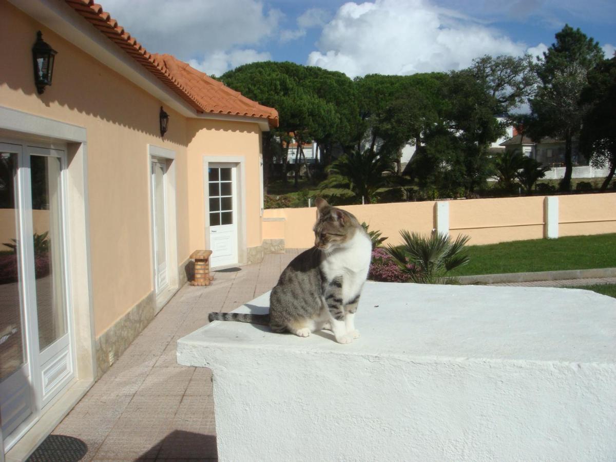 Casa De Hospedes Flor Do Jardim Malveira Εξωτερικό φωτογραφία