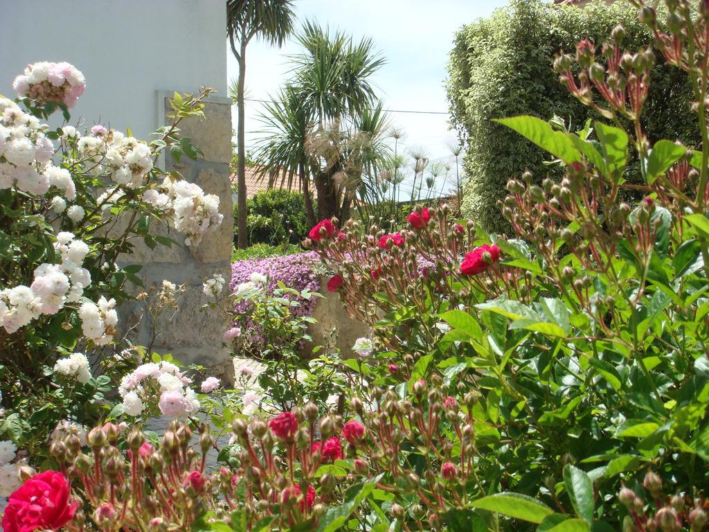 Casa De Hospedes Flor Do Jardim Malveira Εξωτερικό φωτογραφία